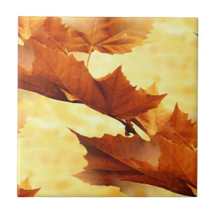 Golden Maple Leaves Painterly Photography Tile