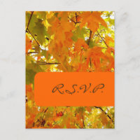 Golden Maple, RSVP postcards, for 5x7 invites