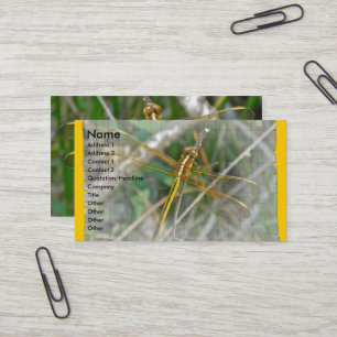 Golden Meadowhawk Dragonfly Business Card