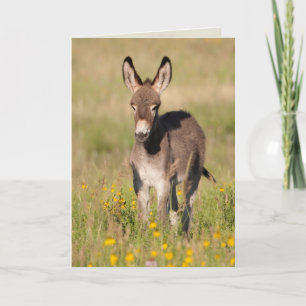"Golden Meadows" - Greeting Card