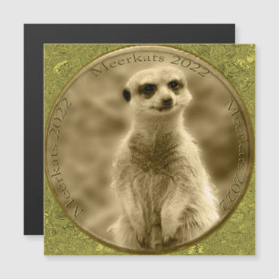 Golden Meerkat 2022 Coin, Magnetic Card