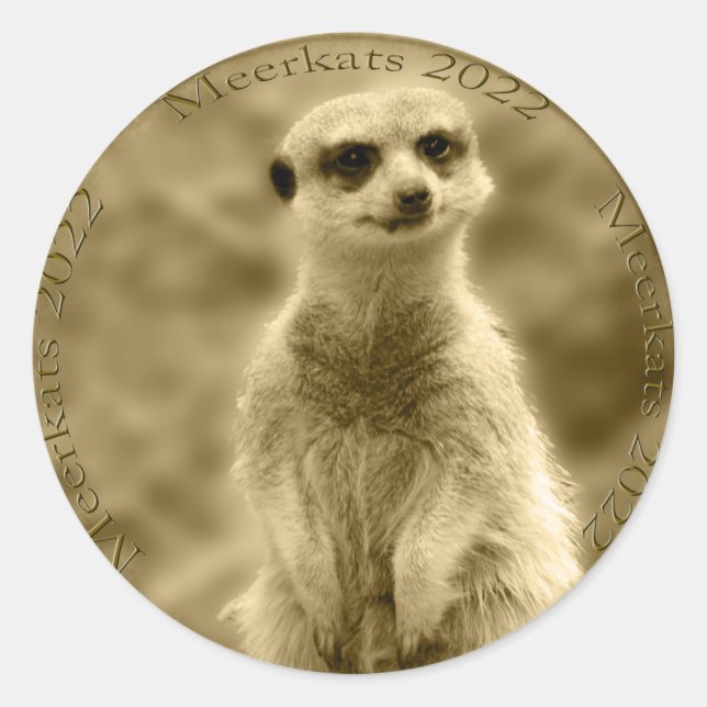 Golden Meerkat 2022 Coin, Round Stickers (Front)