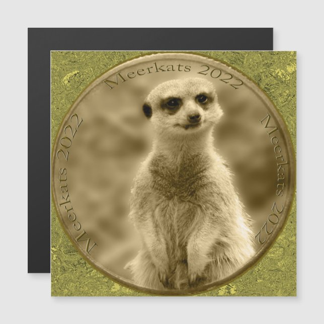 Golden Meerkat 2022 Pièce, Carte magnétique (Devant / Derrière)
