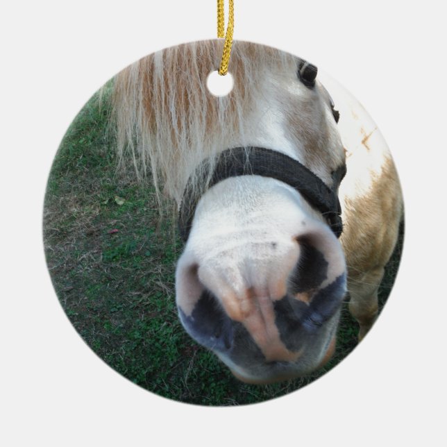 Golden Miniature Horse Ceramic Ornament (Front)