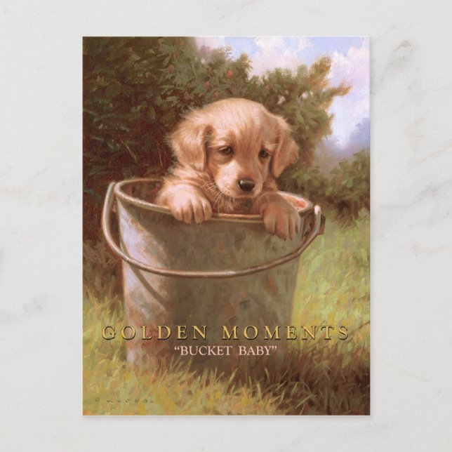 GOLDEN MOMENTS POSTCARD (Front)