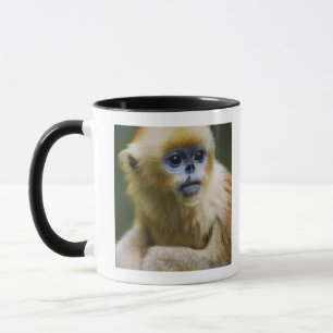 Golden monkey mug