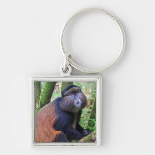 Golden Monkey, Rwanda Keychain