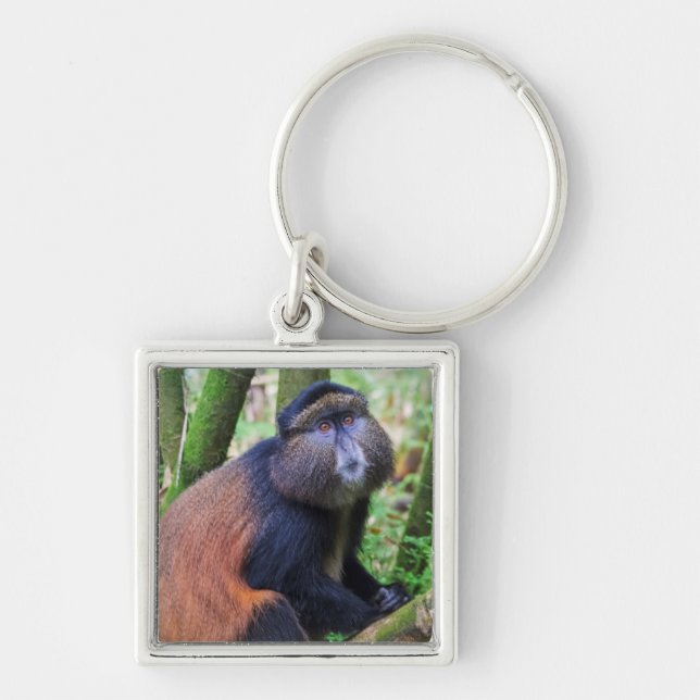 Golden Monkey, Rwanda Keychain (Front)