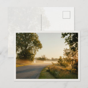 Golden Morning Mist Countryside Road Postcard