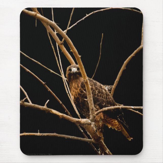 Golden Mousepad (Front)