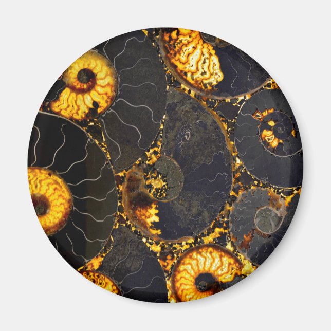 Golden Nautilus Magnet (Front)