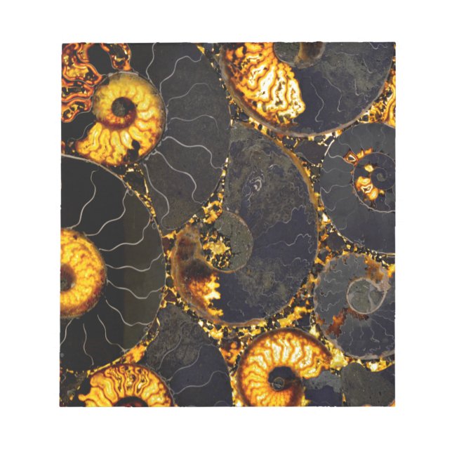 Golden Nautilus Notepad (Front)
