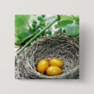 Golden Nest Eggs 2 Inch Square Button