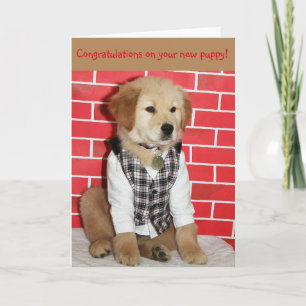 Golden New Puppy Card