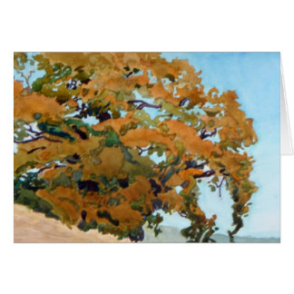 Golden Oak