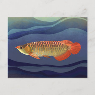 Golden Orange Arowana Fish Exquisite Aquatic Postcard