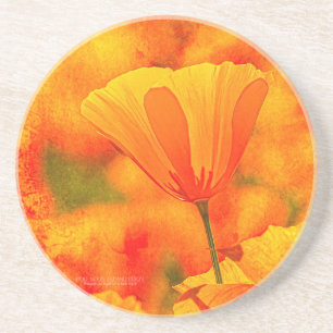 Golden Orange California Poppy "Land Of Orange" Coaster