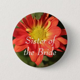 Golden,orange colour daisy flowers. 2 inch round button
