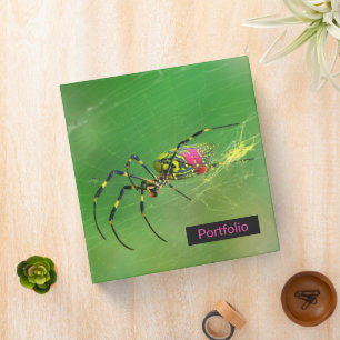 Golden Orb Weaver Spider Binder