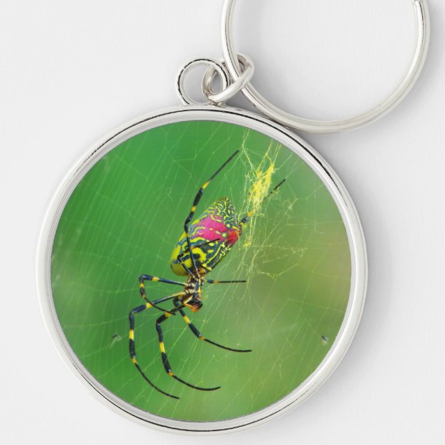 Golden Orb Weaver Spider Keychain (Front)