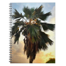 Golden Palm Sky - Carnet Spiral Tropical