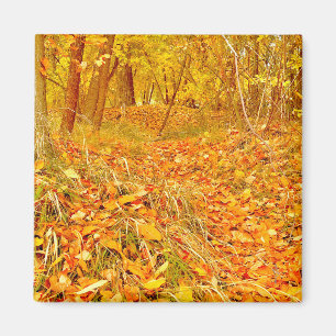 Golden Path Magnet