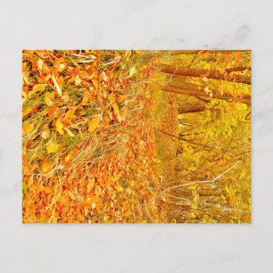 Golden Path Postcard