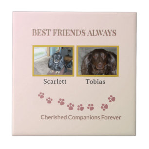 Golden Pawprints Cherished Companions Tile