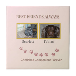 Golden Pawprints Cherished Companions Tile