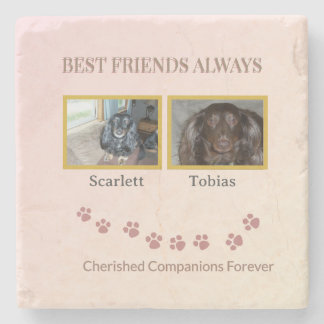 Golden Pawprints Friendship Tribute Stone Coaster