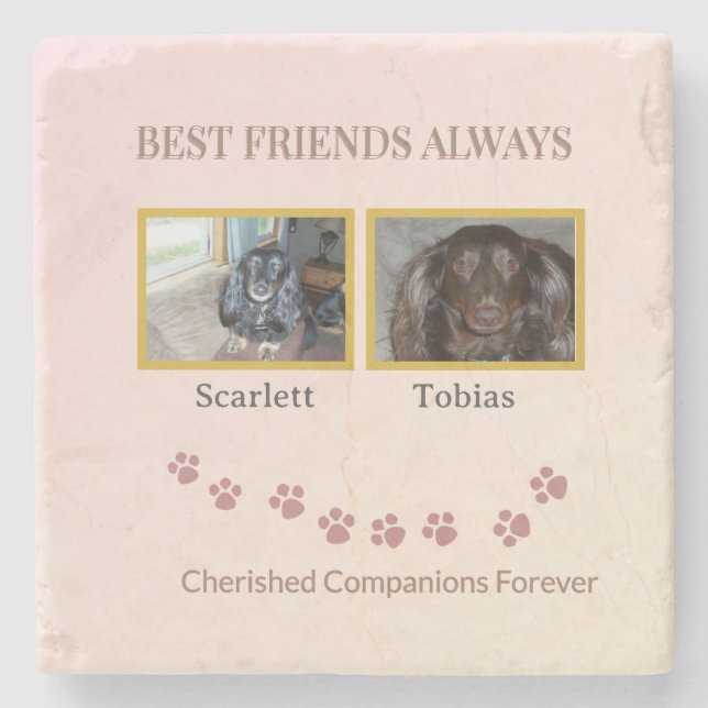 Golden Pawprints Friendship Tribute Stone Coaster (Front)