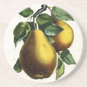 Golden Pears Coaster