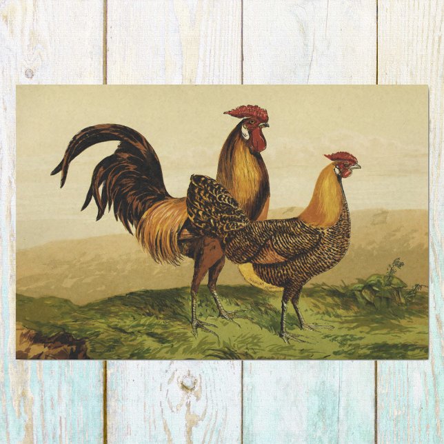 Golden Penciled Hamburg Roosters and Hens on Farm Tissue Paper (Creator Uploaded)