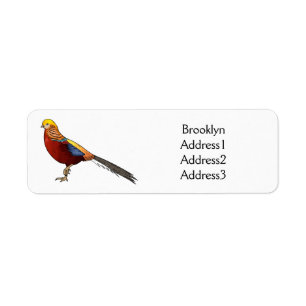 Golden pheasant bird cartoon illustration