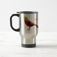 Golden pheasant bird cartoon illustration