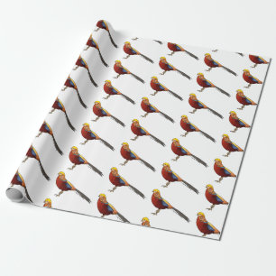 Golden pheasant bird cartoon illustration wrapping paper