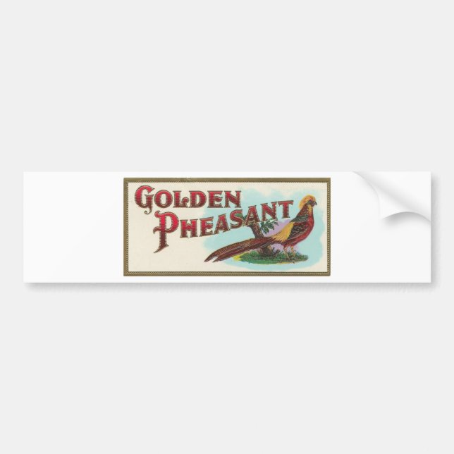 Golden Pheasant Bumper Sticker (Front)