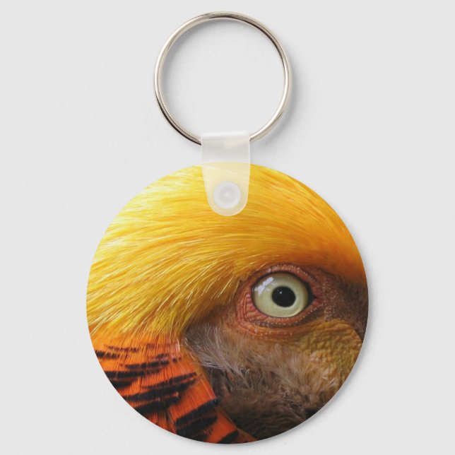Golden Pheasant Eye Keychain (Front)