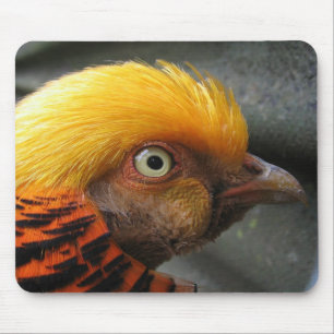 Golden Pheasant Mousepad