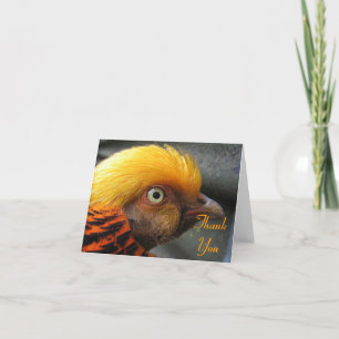 Golden Pheasant Thank You Note Card