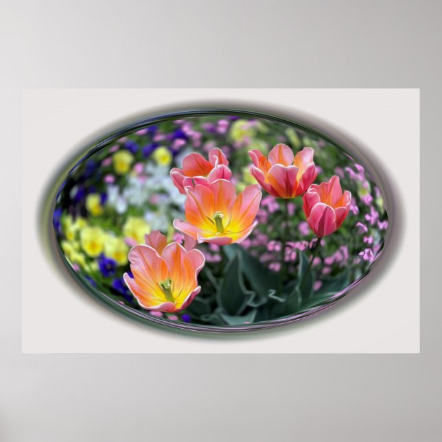 Golden pink tulips poster (Front)