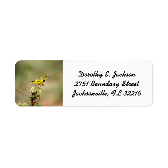 Golden pipit, Kenya, Photo Return Address Return Address Label
