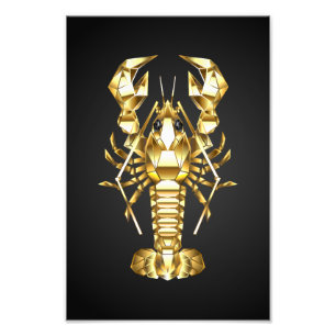 Golden polygonal lobster crawfish on black photo print