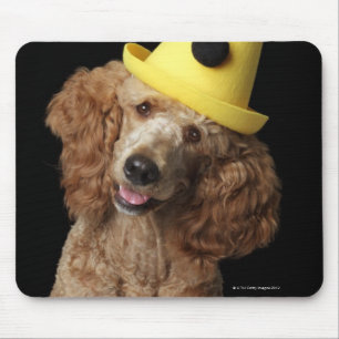 Golden Poodle Dog wearing a yellow clown hat Mouse Pad