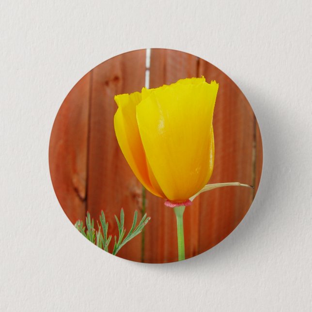 Golden Poppy 2 Inch Round Button (Front)