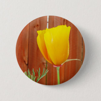 Golden Poppy 2 Inch Round Button
