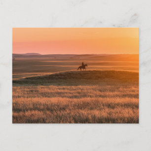 Golden Prairie Party Invitation - Classic Western Postcard