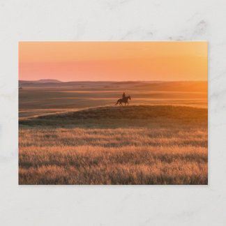 Golden Prairie Party Invitation - Classic Western  Postcard