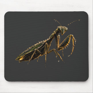 Golden Praying Mantis Black & Gold Mouse Pad