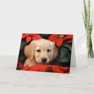 Golden Puppy and Poinsetta Christmas Card